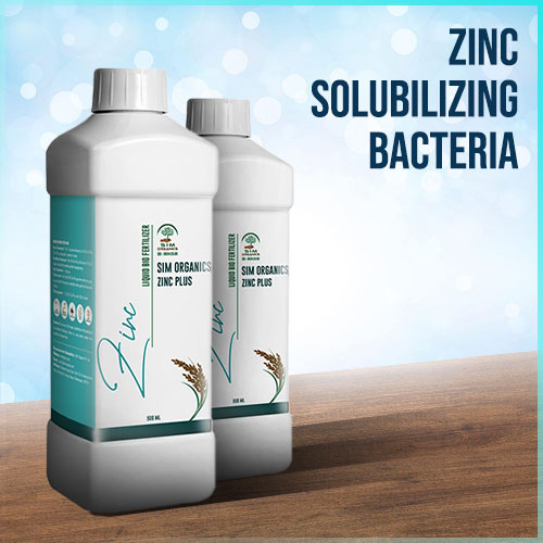 A Comprehensive Guide on “Zinc Solubilizing Bacteria”