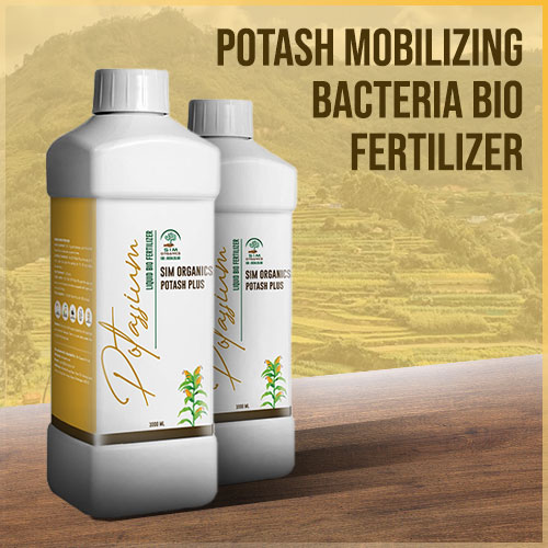 Unveiling the Power of Soil Health: Potash Mobilizing Bacteria Biofertilizer by Sim Organics