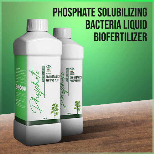 Phosphate Solubilizing Bacteria Liquid Biofertilizer