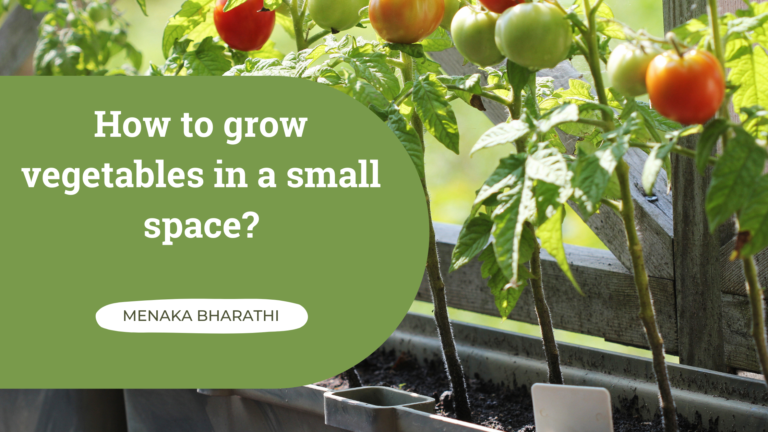 How to grow vegetables in a small space?