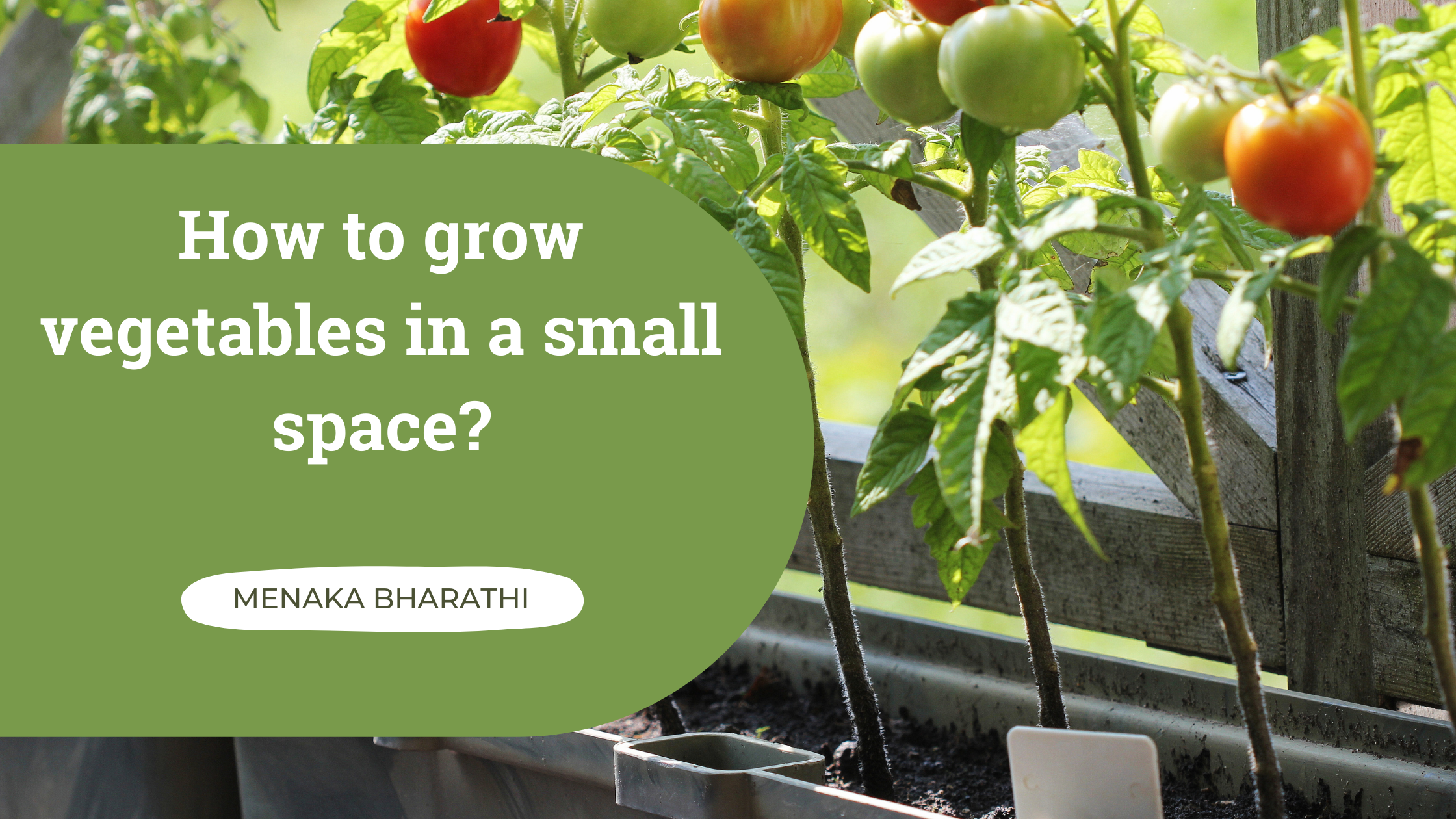 How to grow vegetables in a small space