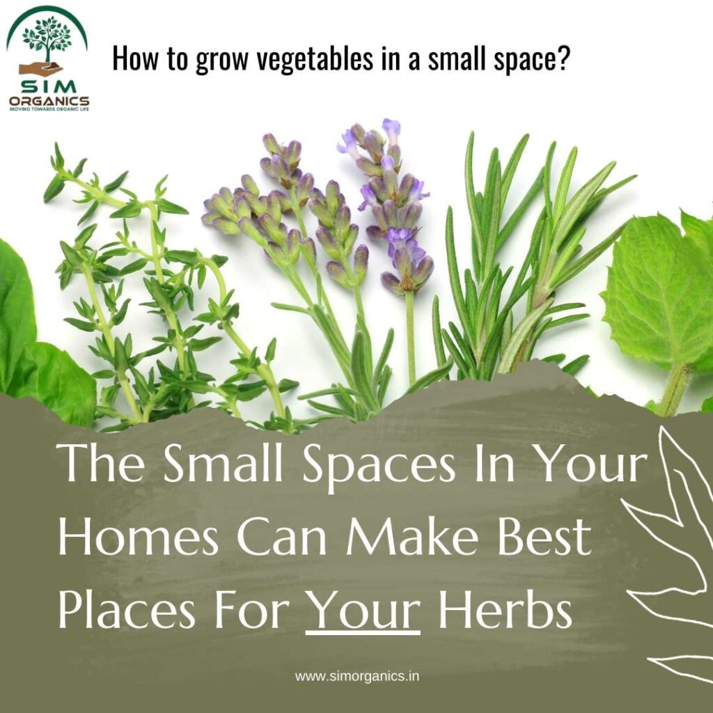 Herb garden in small spaces in your home