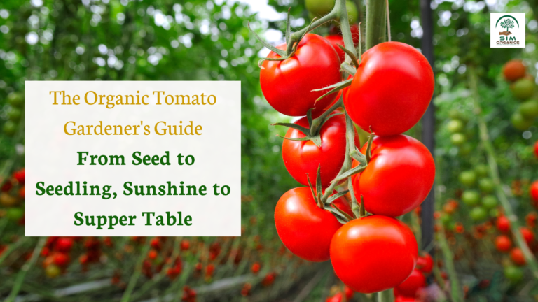 The Organic Tomato Gardener’s Guide: From Seed to Seedling, Sunshine to Supper Table