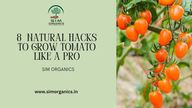 8 Natural Hacks to Grow Tomato Like A Pro